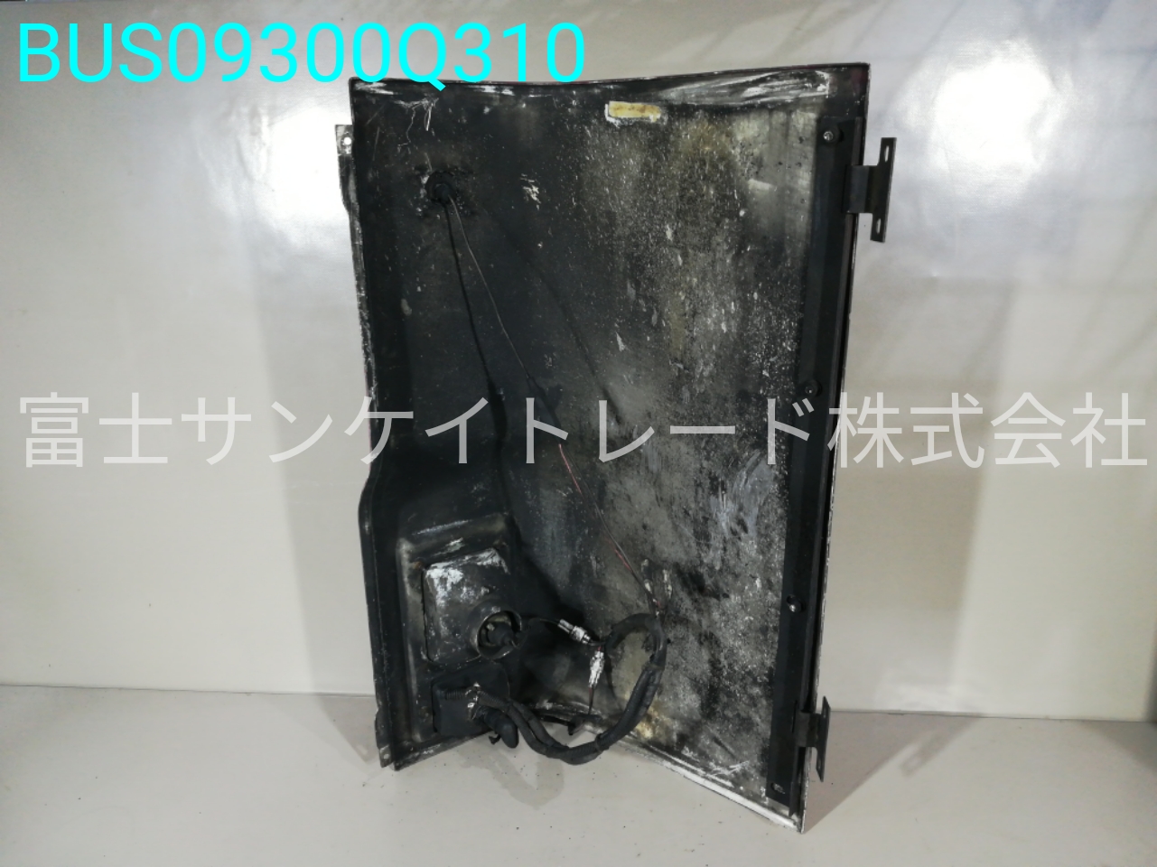 BUS09300Q310