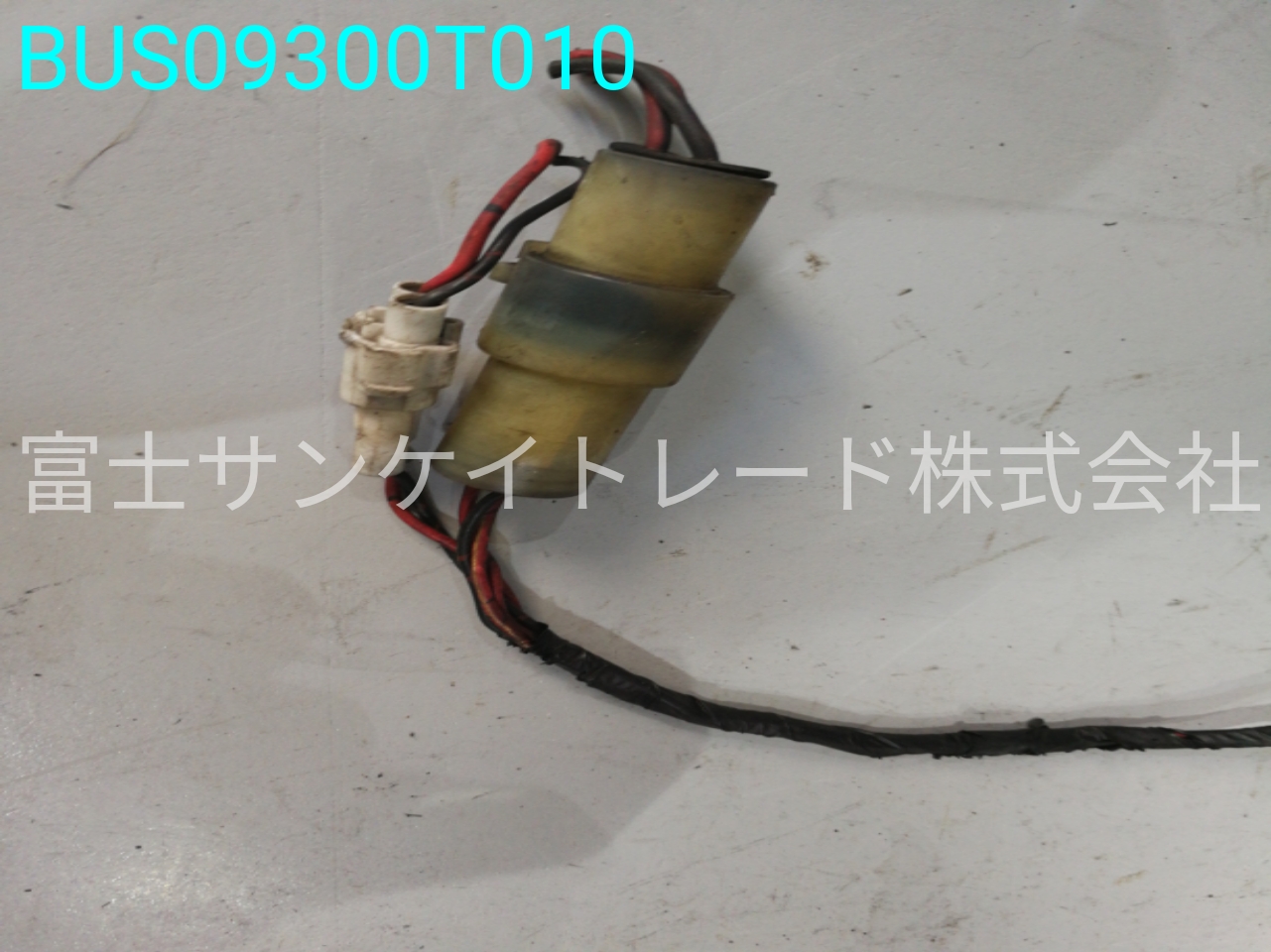 BUS09300T010