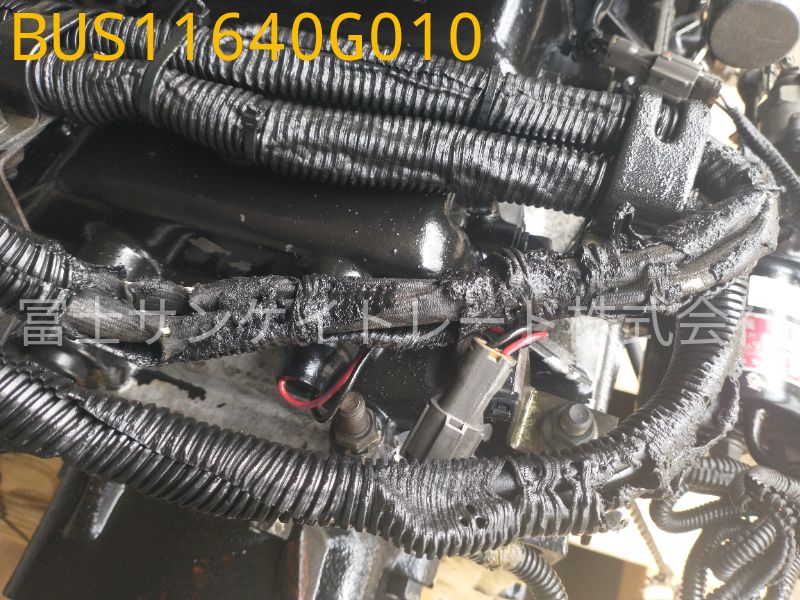 BUS11640G010