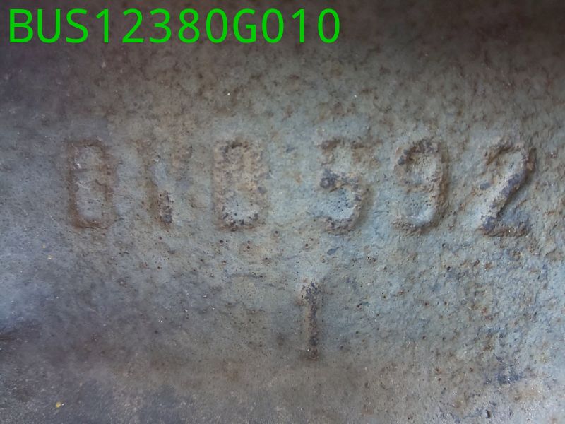 BUS12380G010