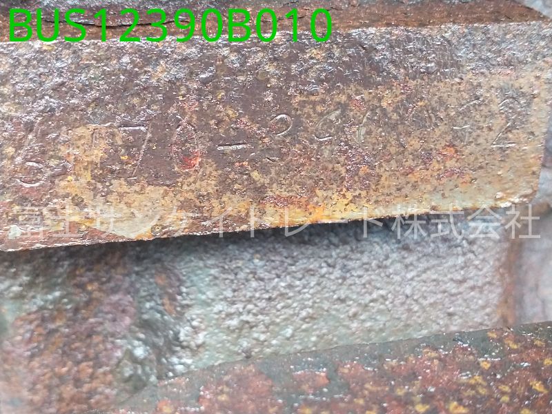 BUS12390B010