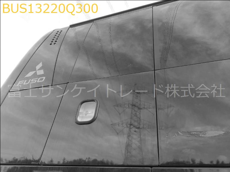 BUS13220Q300