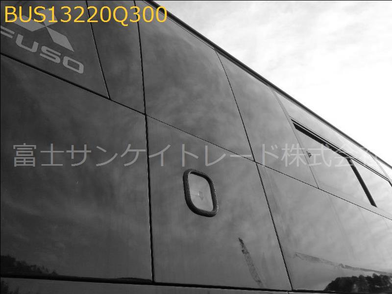 BUS13220Q300