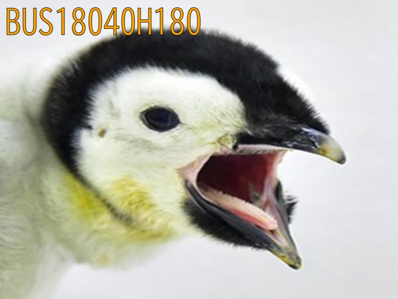 BUS18040H180