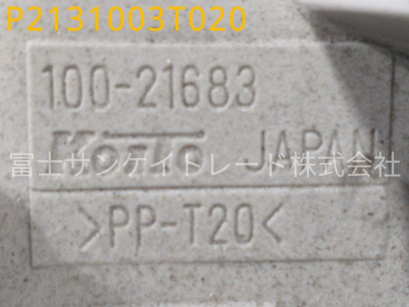 P2131003T020