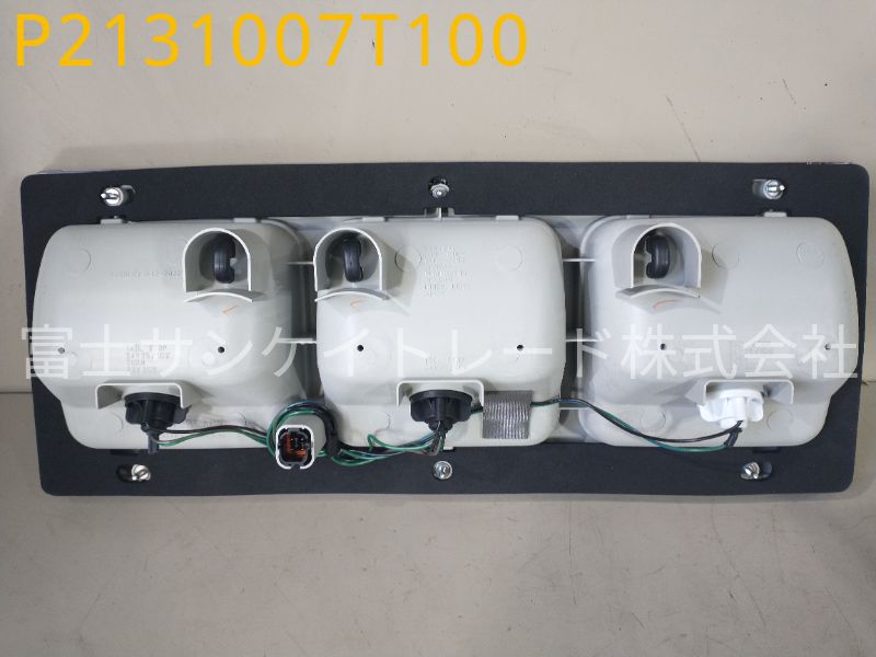 P2131007T100